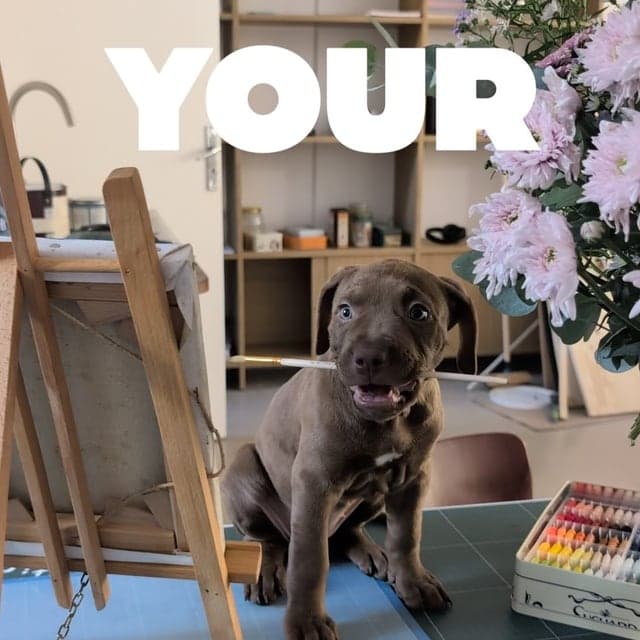 Reel Paint your date : les vendredis soir à deux
