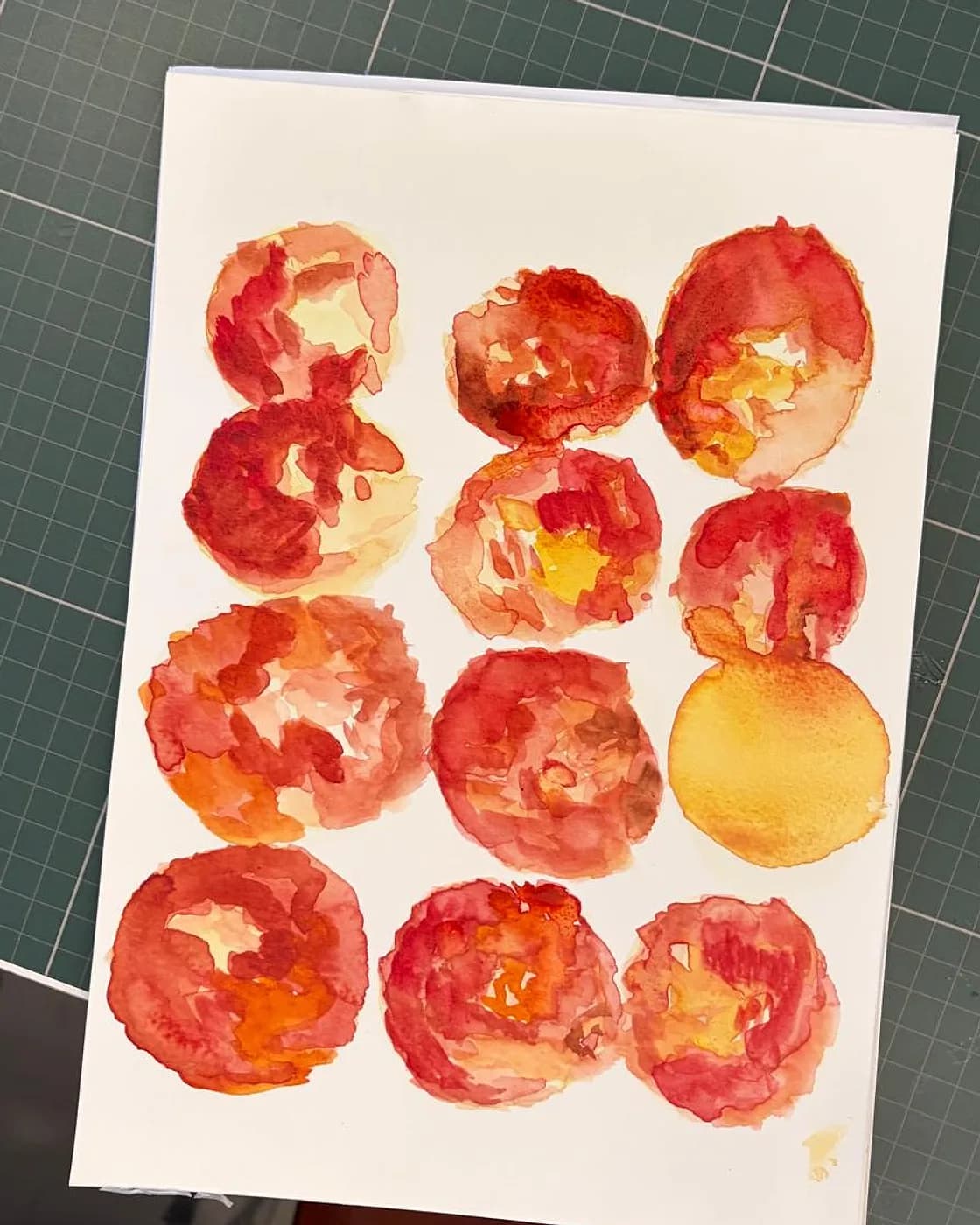 Aquarelle, une planche de tomates, aquarelle réalisée chez Artichaut à Montmartre